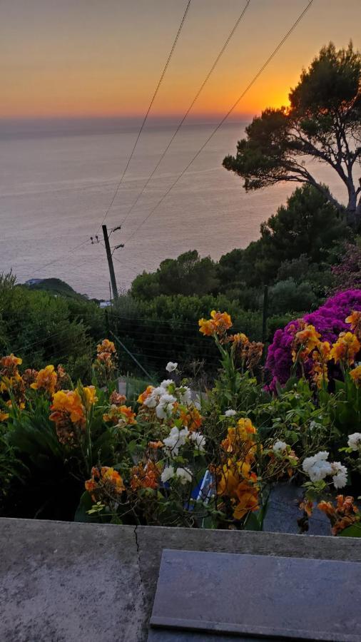 Bb La Guardiia Bed & Breakfast Anacapri  Eksteriør bilde