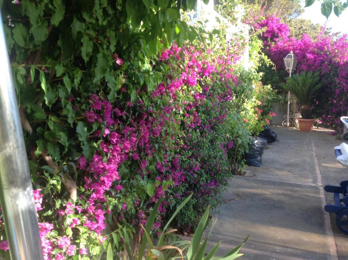 Bb La Guardiia Bed & Breakfast Anacapri  Eksteriør bilde