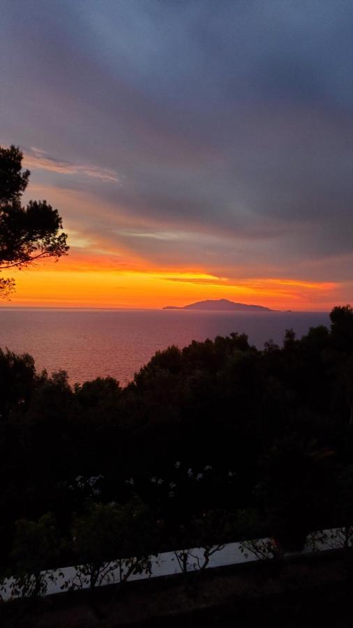 Bb La Guardiia Bed & Breakfast Anacapri  Eksteriør bilde