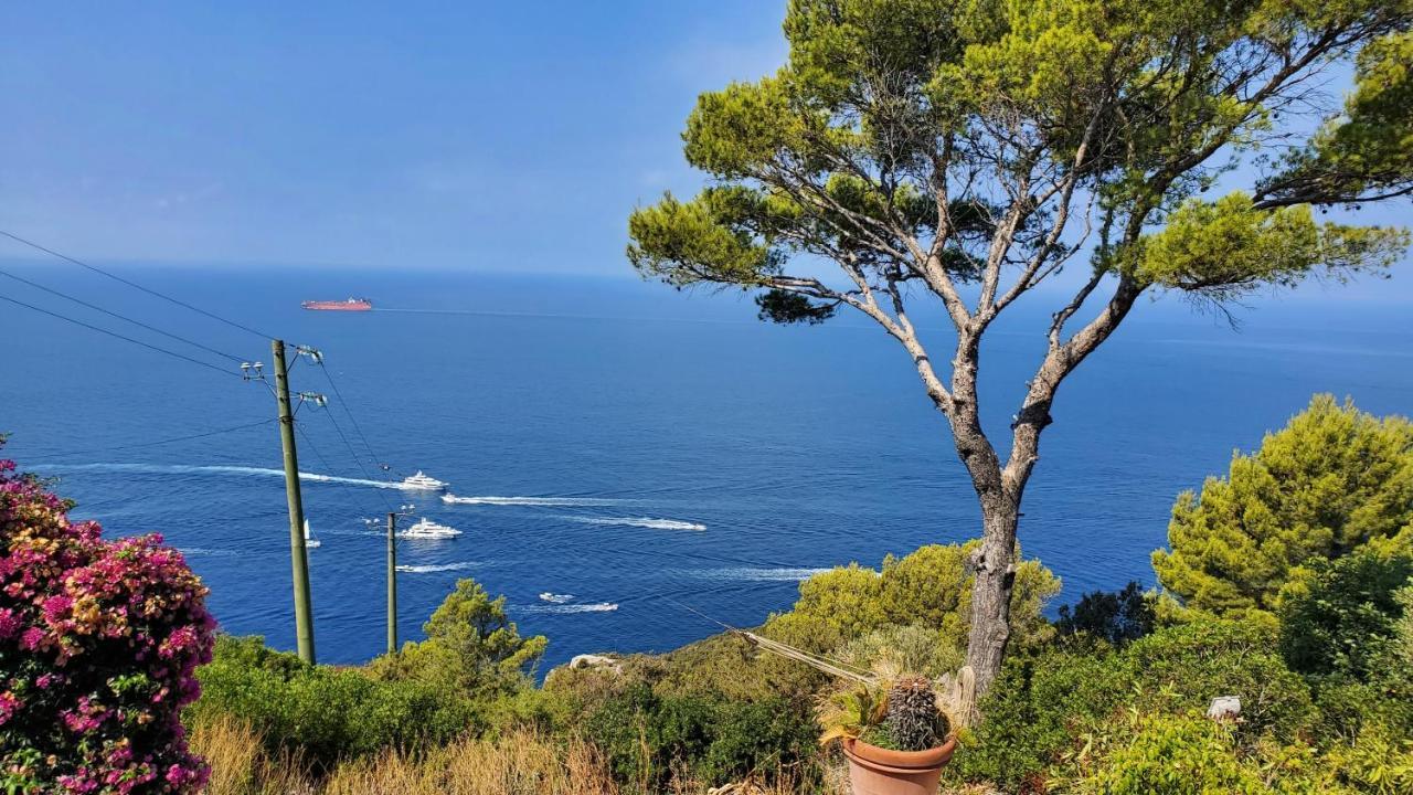 Bb La Guardiia Bed & Breakfast Anacapri  Eksteriør bilde
