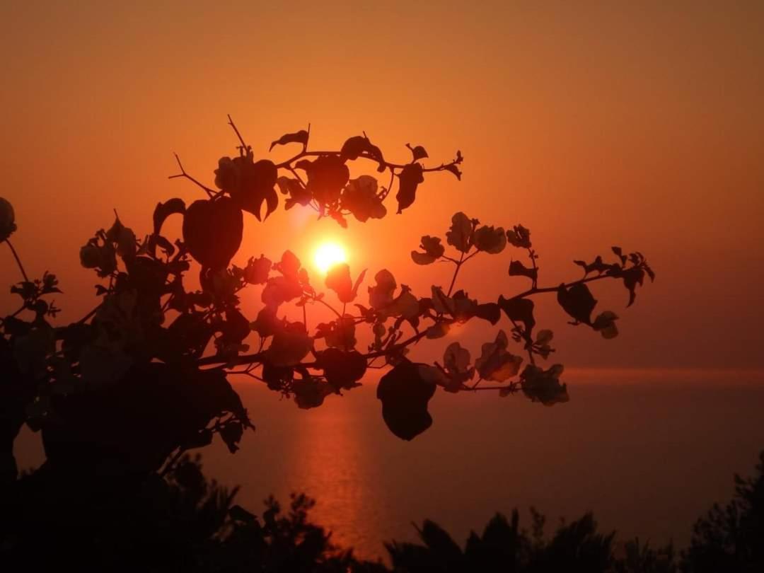 Bb La Guardiia Bed & Breakfast Anacapri  Eksteriør bilde