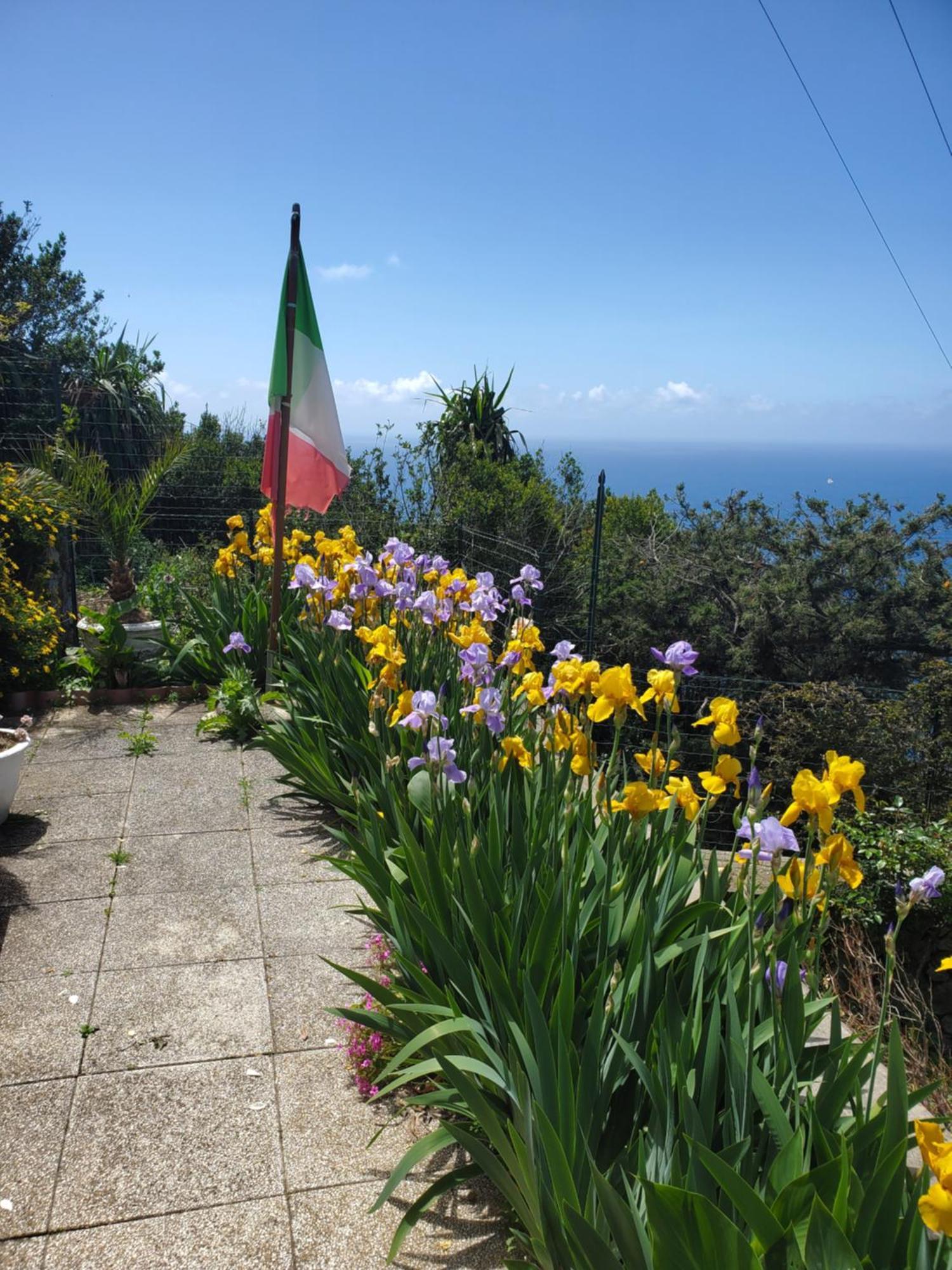 Bb La Guardiia Bed & Breakfast Anacapri  Eksteriør bilde