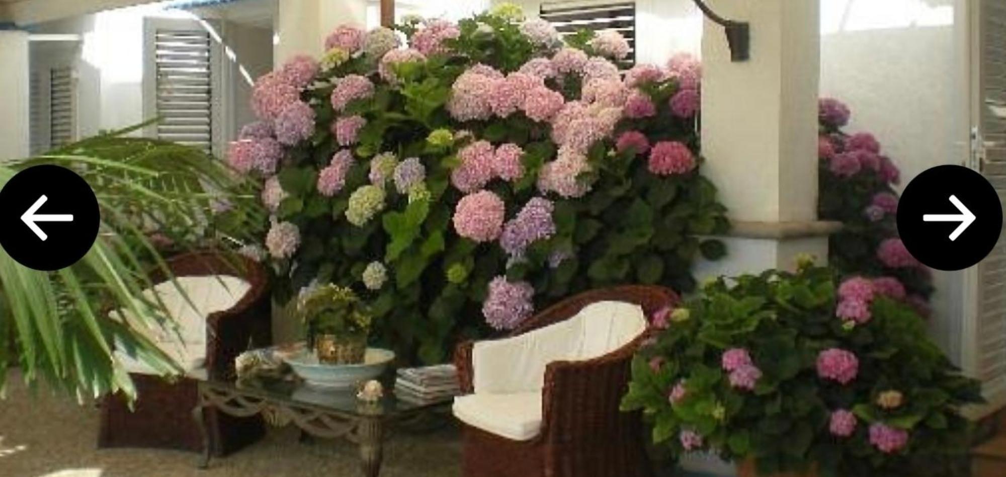 Bb La Guardiia Bed & Breakfast Anacapri  Eksteriør bilde