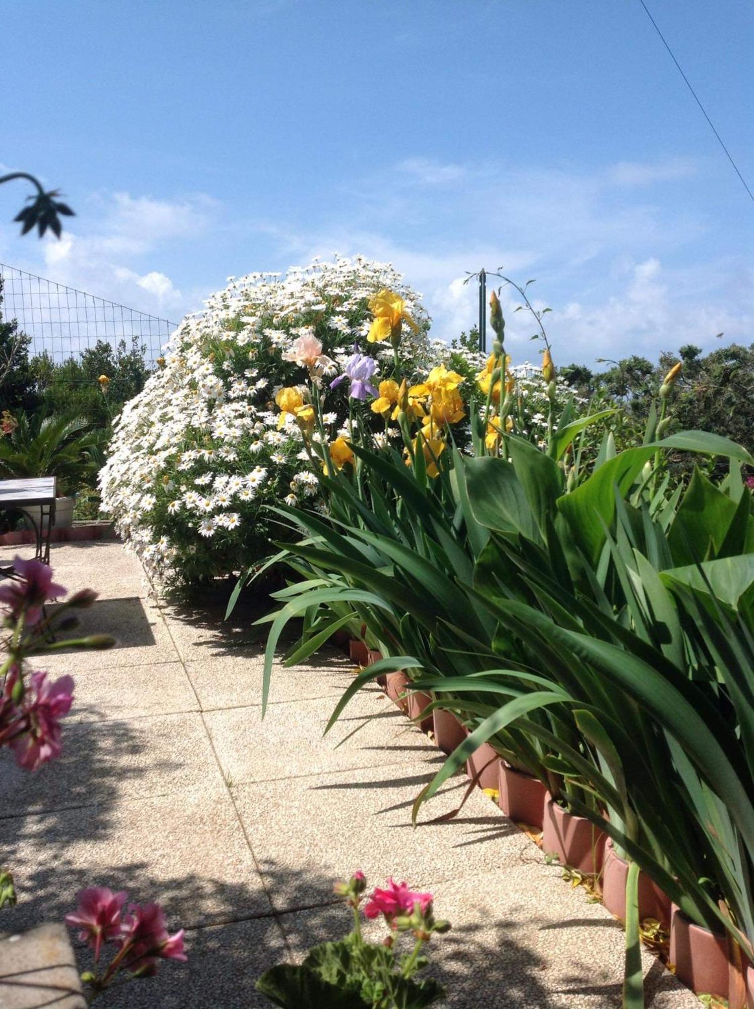 Bb La Guardiia Bed & Breakfast Anacapri  Eksteriør bilde