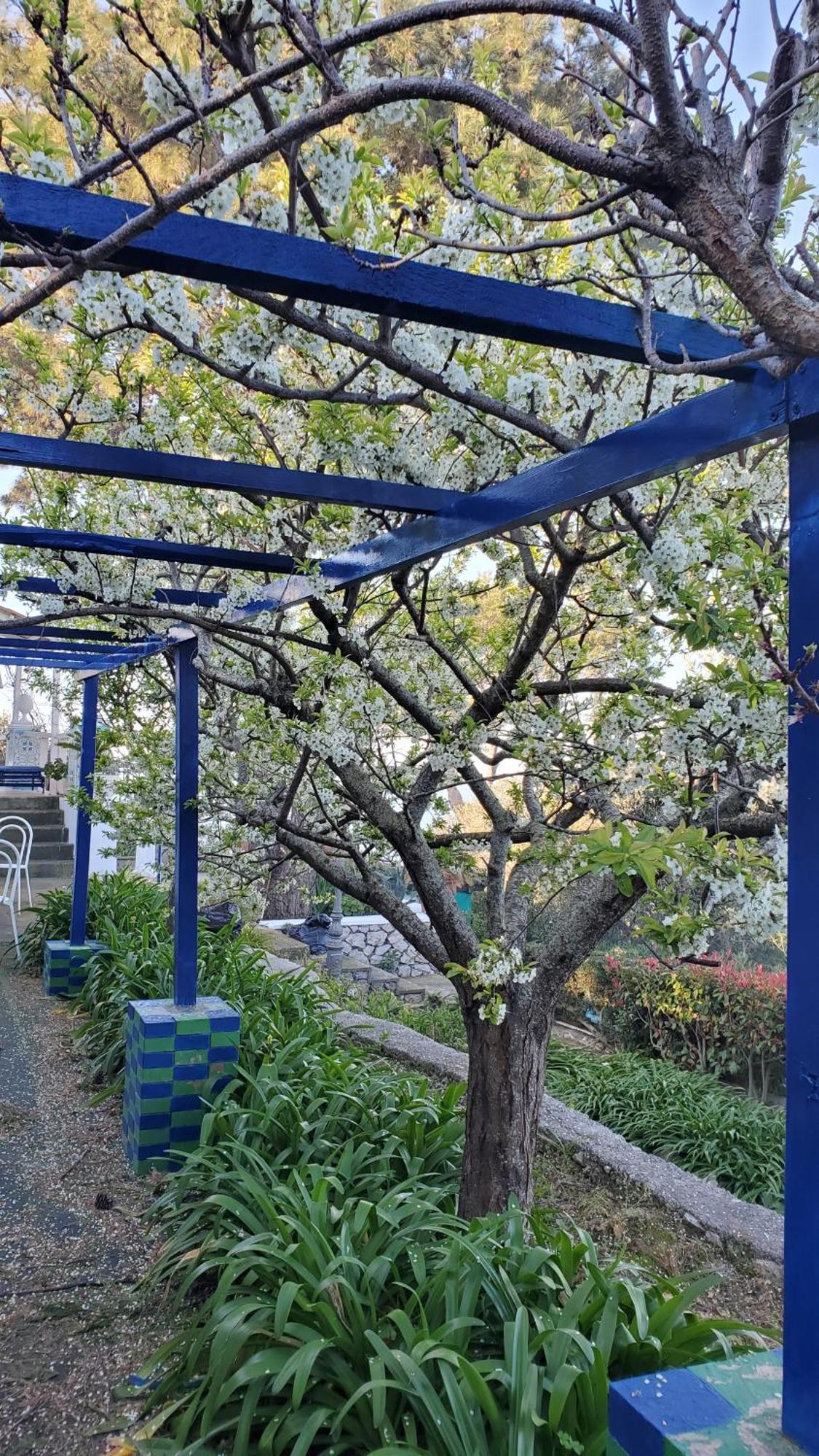 Bb La Guardiia Bed & Breakfast Anacapri  Eksteriør bilde