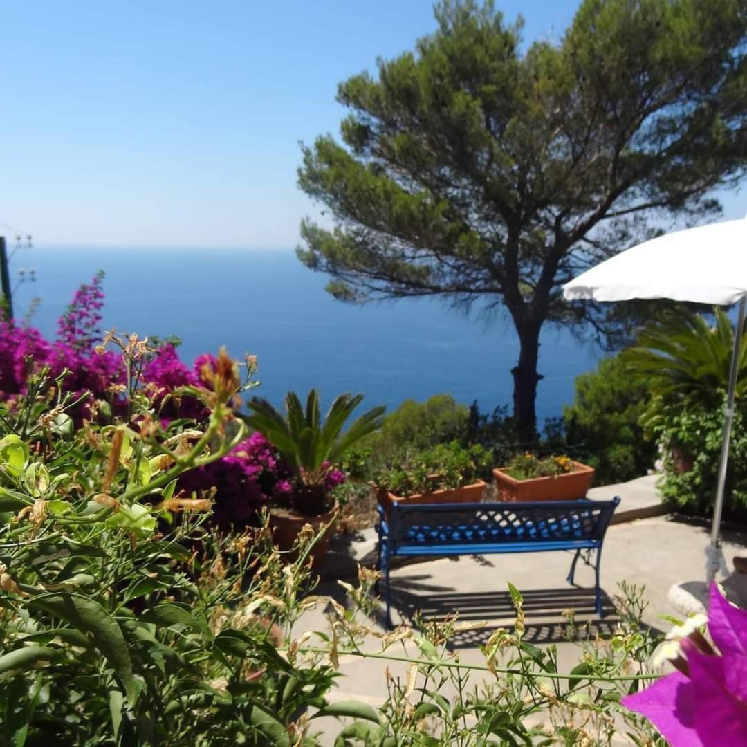 Bb La Guardiia Bed & Breakfast Anacapri  Eksteriør bilde